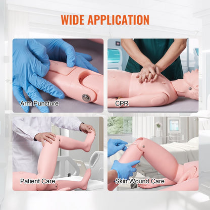 VEVOR Male Manikin Model Anatomical Nursing Training Patient Care Teach Practice