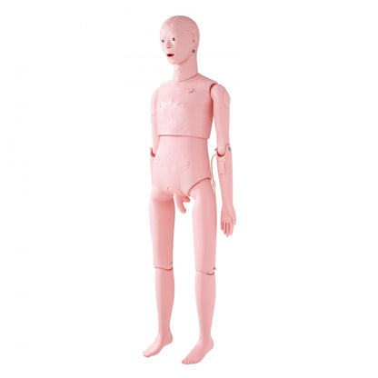 VEVOR Male Manikin Model Anatomical Nursing Training Patient Care Teach Practice