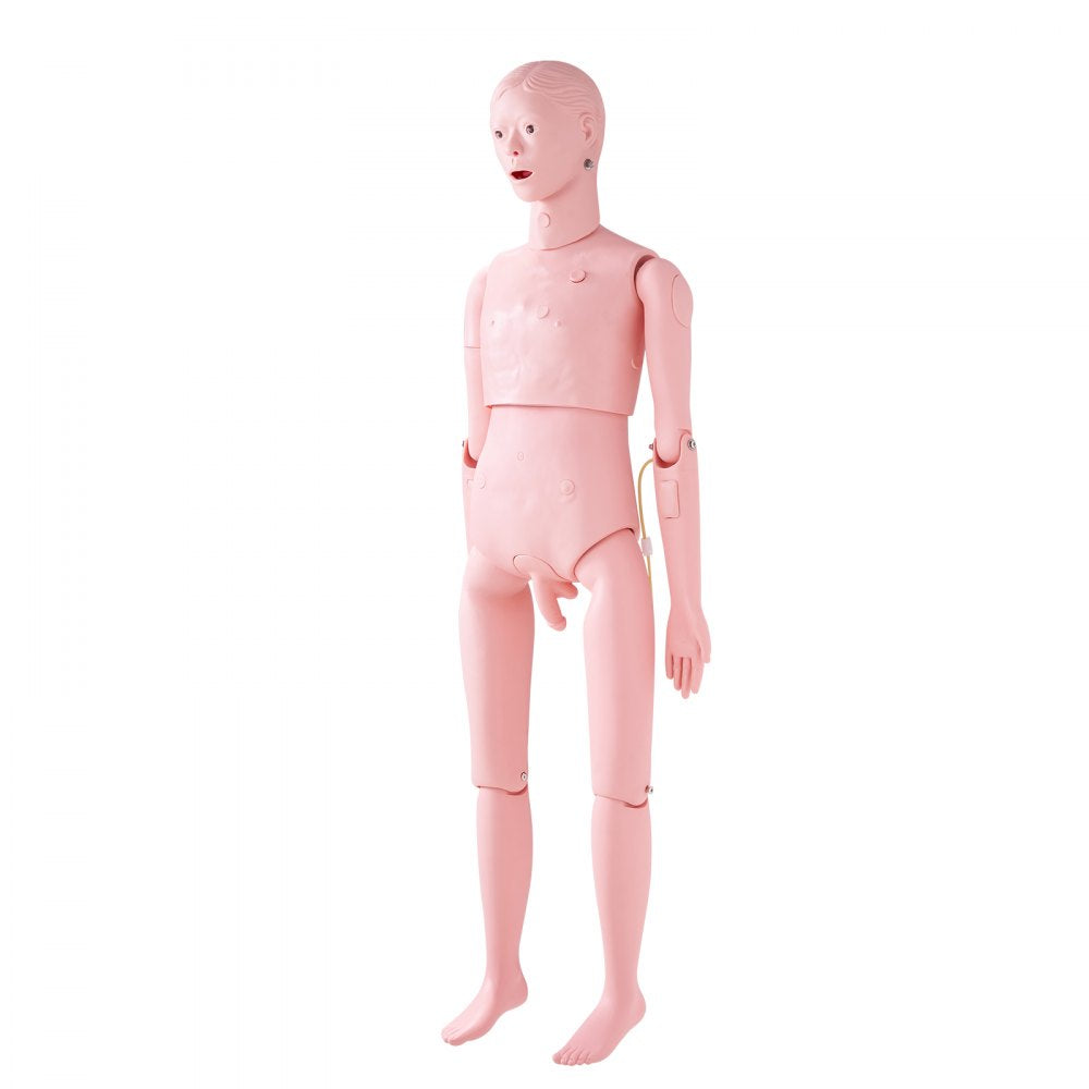 VEVOR Male Manikin Model Anatomical Nursing Training Patient Care Teach Practice