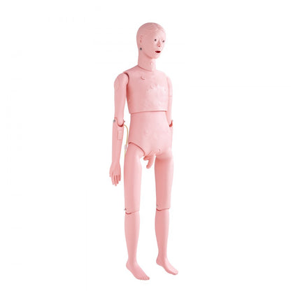 VEVOR Male Manikin Model Anatomical Nursing Training Patient Care Teach Practice