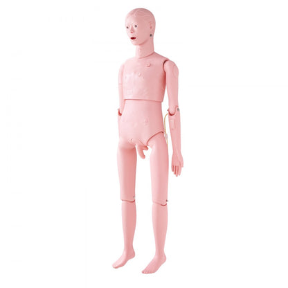 VEVOR Male Manikin Model Anatomical Nursing Training Patient Care Teach Practice