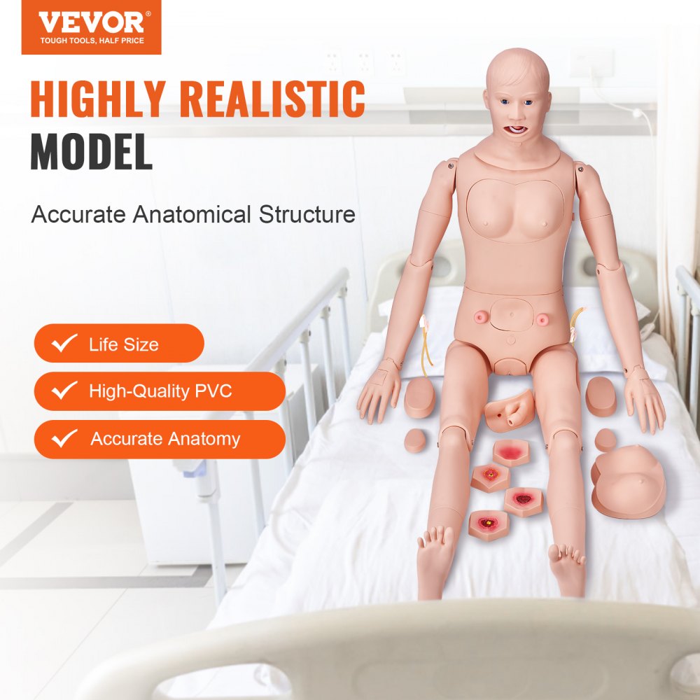 VEVOR Male/Female Manikin Model Anatomical Nursing Training Patient Care Teach