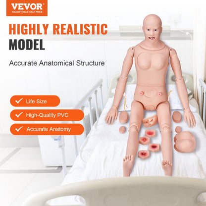 VEVOR Male/Female Manikin Model Anatomical Nursing Training Patient Care Teach