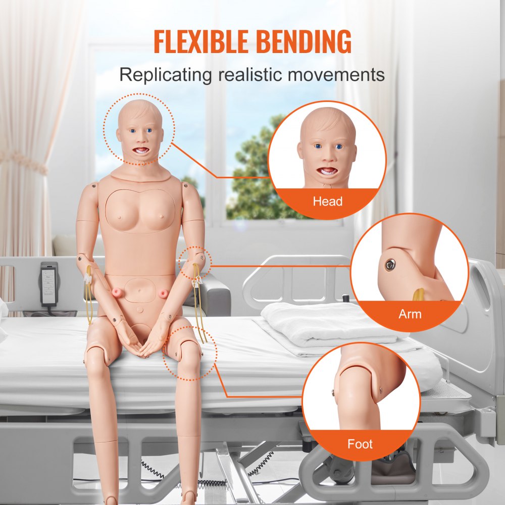 VEVOR Male/Female Manikin Model Anatomical Nursing Training Patient Care Teach