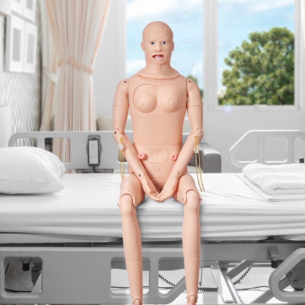 VEVOR Male/Female Manikin Model Anatomical Nursing Training Patient Care Teach