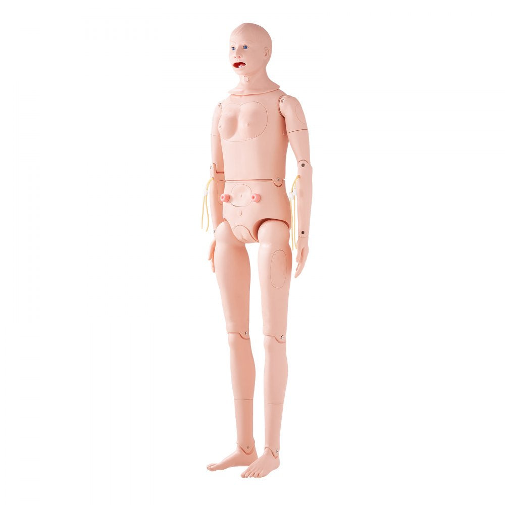 VEVOR Male/Female Manikin Model Anatomical Nursing Training Patient Care Teach