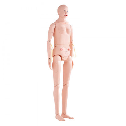VEVOR Male/Female Manikin Model Anatomical Nursing Training Patient Care Teach