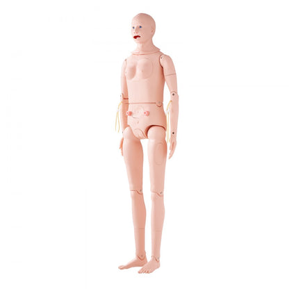 VEVOR Male/Female Manikin Model Anatomical Nursing Training Patient Care Teach