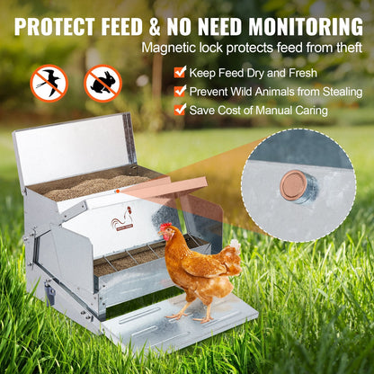 Automatic Galvanized Steel Poultry Feeder for 10 Chickens, 11 kg Capacity