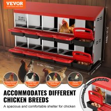 10-Compartment Metal Chicken Nest Box with Inclined Design, Easy to Clean