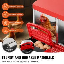 10-Compartment Metal Chicken Nest Box with Inclined Design, Easy to Clean