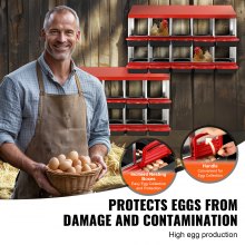 10-Compartment Metal Chicken Nest Box with Inclined Design, Easy to Clean