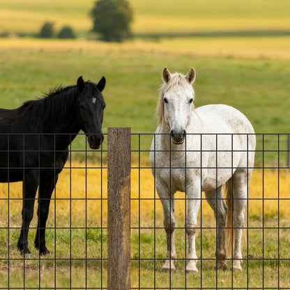 Farm Fence,  122cm x 15.2m, 2 x 4 in Mesh 14 Gauge Galvanized Steel Wire Fencing for Cattle, Hog & Sheep , Heavy Duty Vinyl Coated Livestock Fence for Animal Enclosures, Cage Wire, Garden Fences