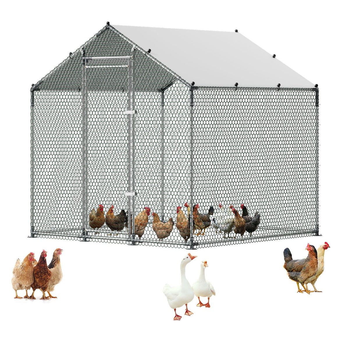 Large Metal Chicken Coop 2 x 2 x 2 m Walk-in Chicken Run House Cage, Spire Roof Hen House Enclosure with Cover and Security Lock, Outdoor Duck Rabbit Cage Poultry Pen for Backyard, Farm, Yard