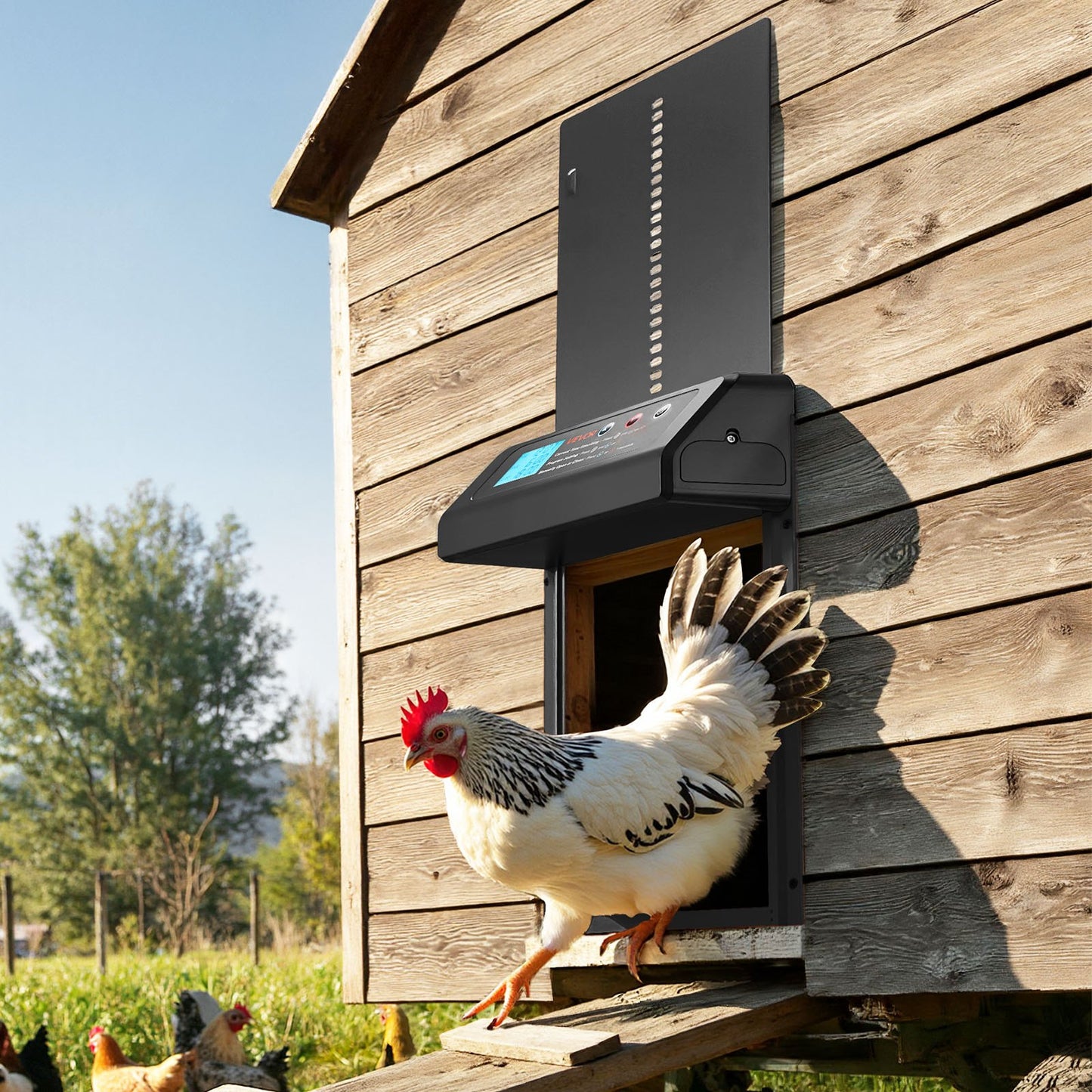 Automatic Chicken Coop Door, Battery Powered Chicken Coop Door with Timer & Manual Setting, Anti-Pinch Security, Durable Aluminum Alloy, Auto Chick Run Gate Opener with Waterproof Sealing, Black