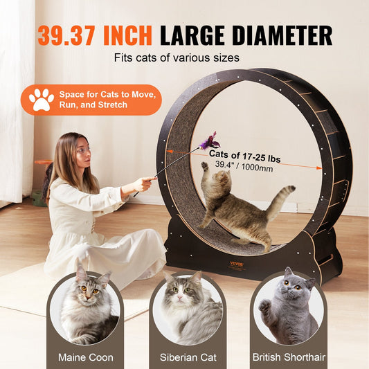 Indoor Cat Exercise Wheel with Detachable Carpet, 1.1 m Diameter, 15 kg Capacity