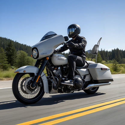 VEVOR Motorcycle Backrest Sissy Bar for Harley-Davidson Dyna