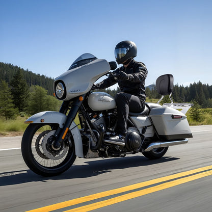 VEVOR Motorcycle Backrest Sissy Bar with Luggage Rack Harley-Davidson Touring