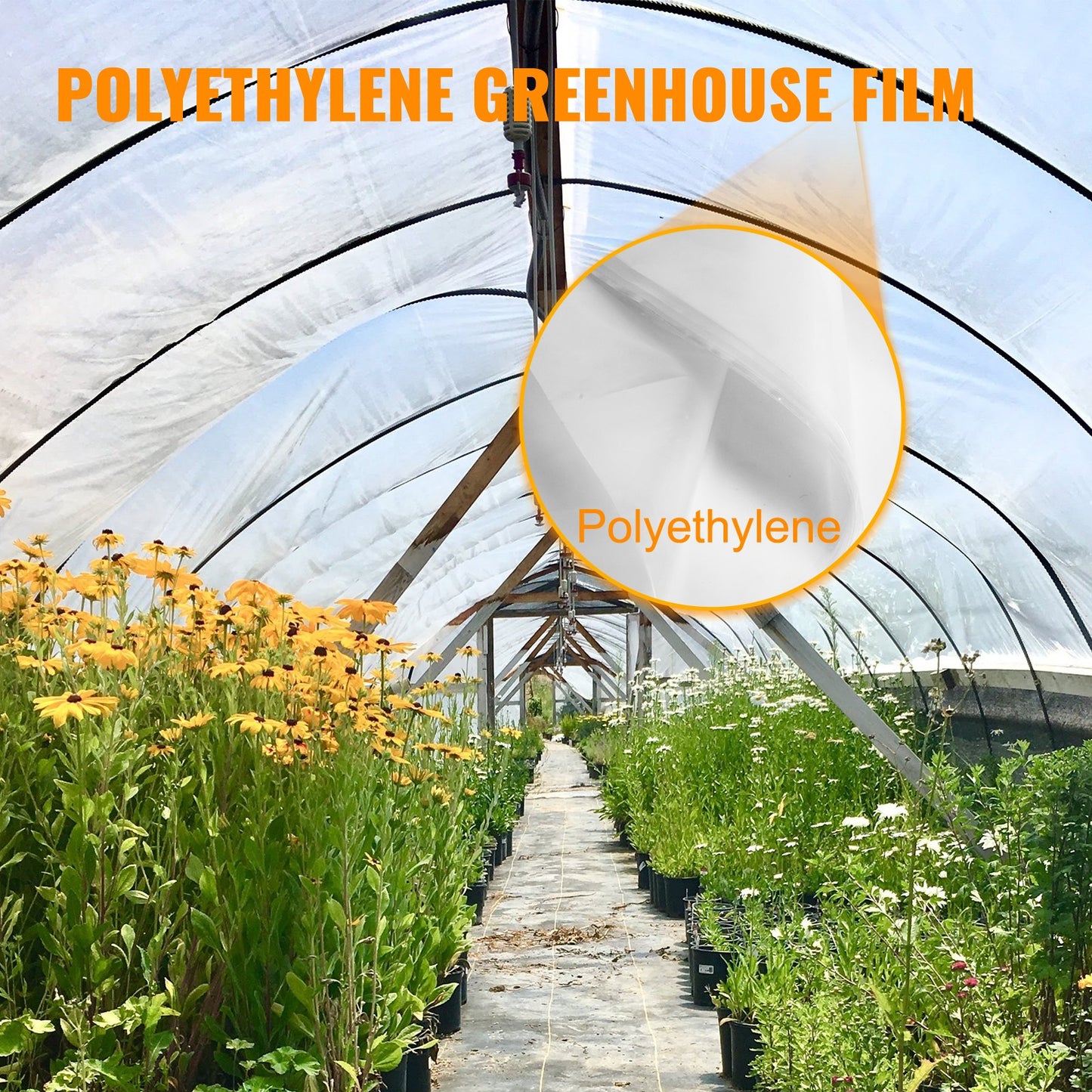Greenhouse Film 4.5 x 12.2 m, Greenhouse Polyethylene Film 0.1524 mm Thickness, Greenhouse Plastic Greenhouse Clear Plastic Film UV Resistant, Polyethylene Film Keep Warming, Superior Strength Toughness