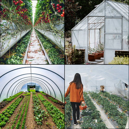 Greenhouse Film, Greenhouse Polyethylene Film 16x25 ft Greenhouse Plastic