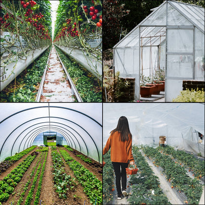 Durable 6x30m Polyethylene Greenhouse Film - High Tenacity & Easy DIY