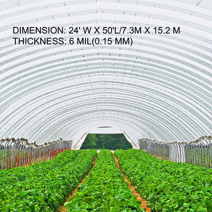 Durable 7.3 x 15.2 m Polyethylene Greenhouse Film for DIY Installation
