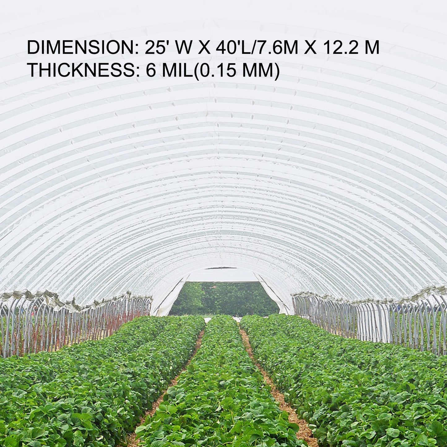 Greenhouse Film, Greenhouse Polyethylene Film 25x40 ft Greenhouse Plastic