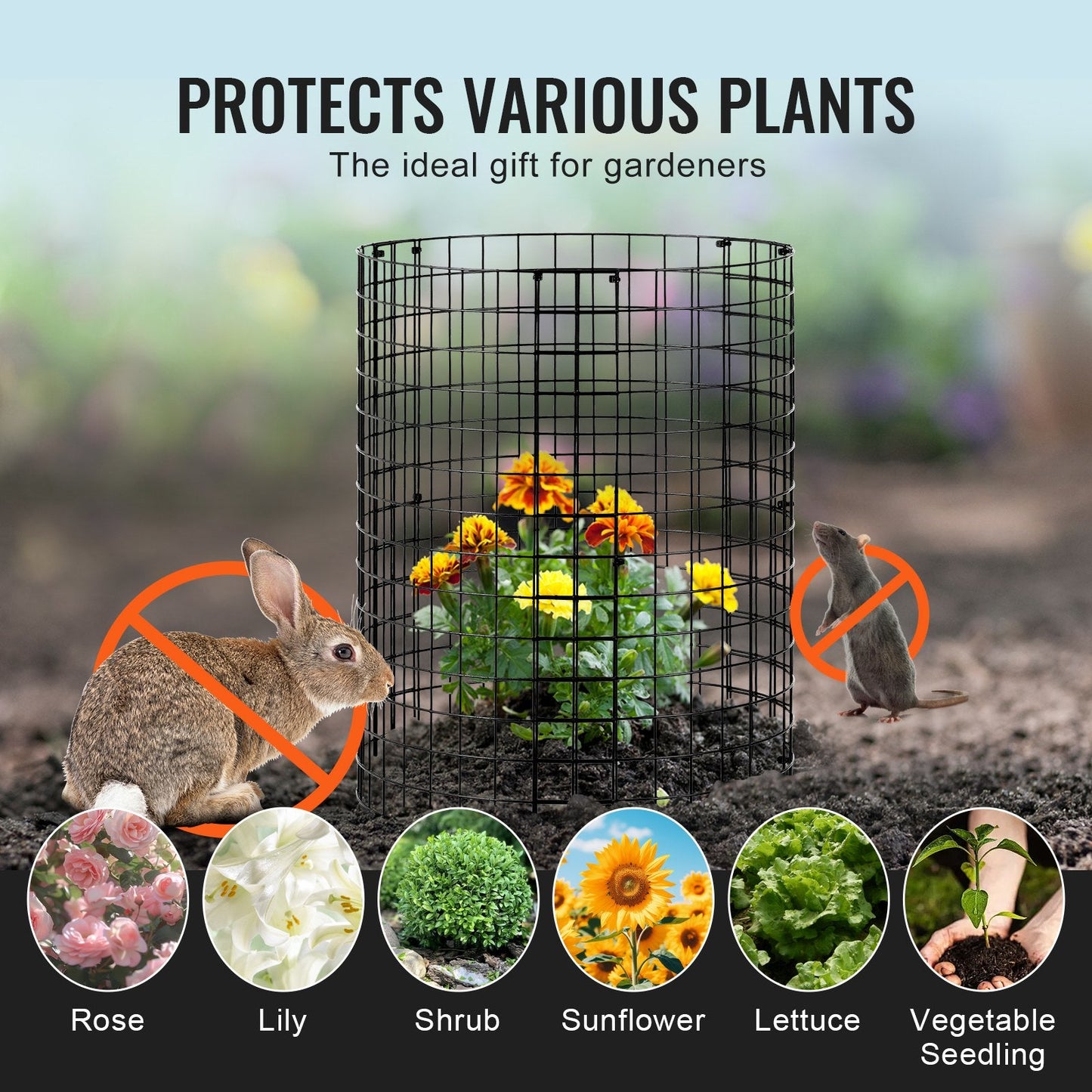 6-Pack Metal Plant Protector Cage, 0.32m Dia x 0.36m Height, Durable & Easy Setup