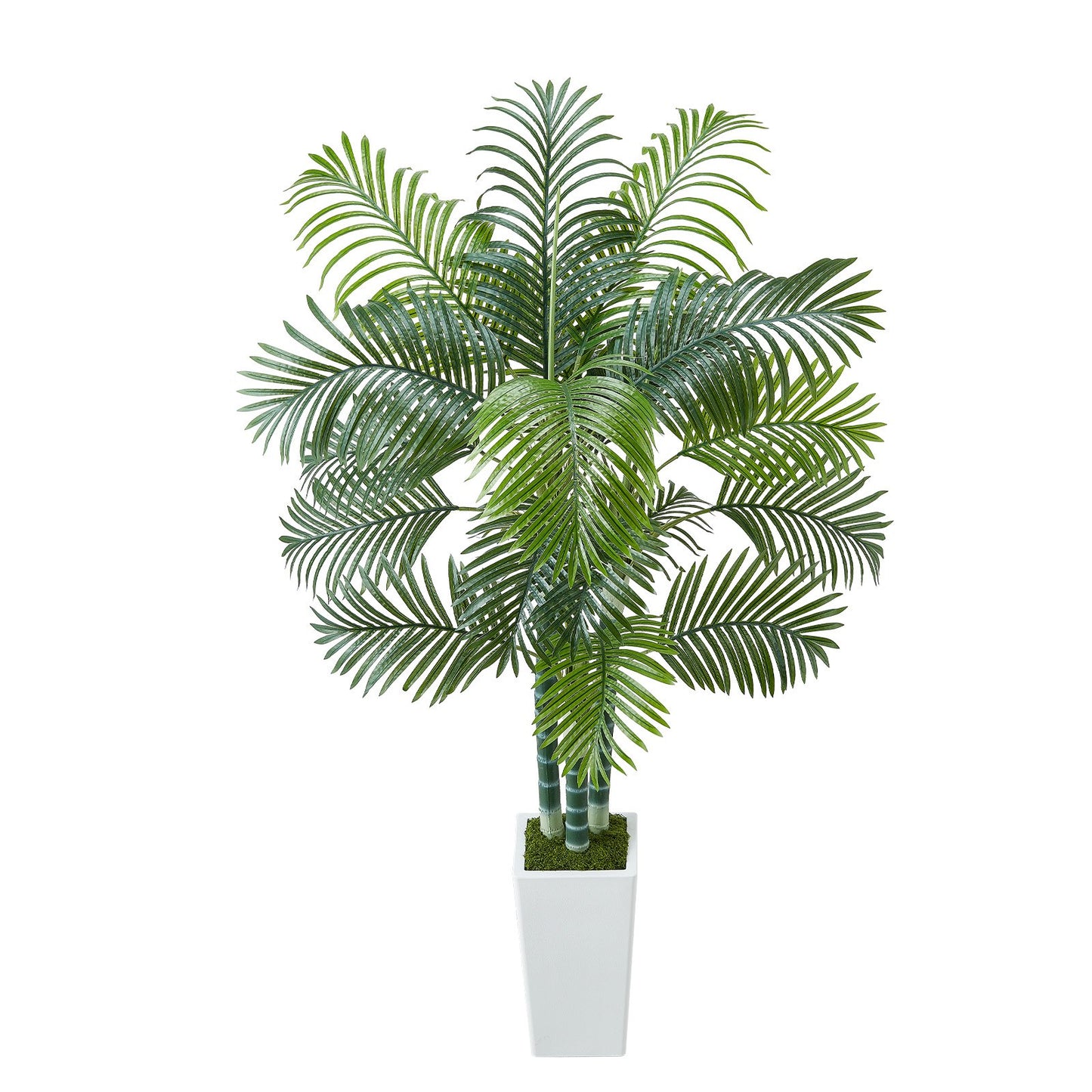 Artificial Areca Palm Tree 1829 mm, Fake Palm Tropical Plants with White Tall Planter, Faux Floor Silk Plant in Pot, Large Trees for Home Office Living Room Decor House Warming, Indoor Outdoor