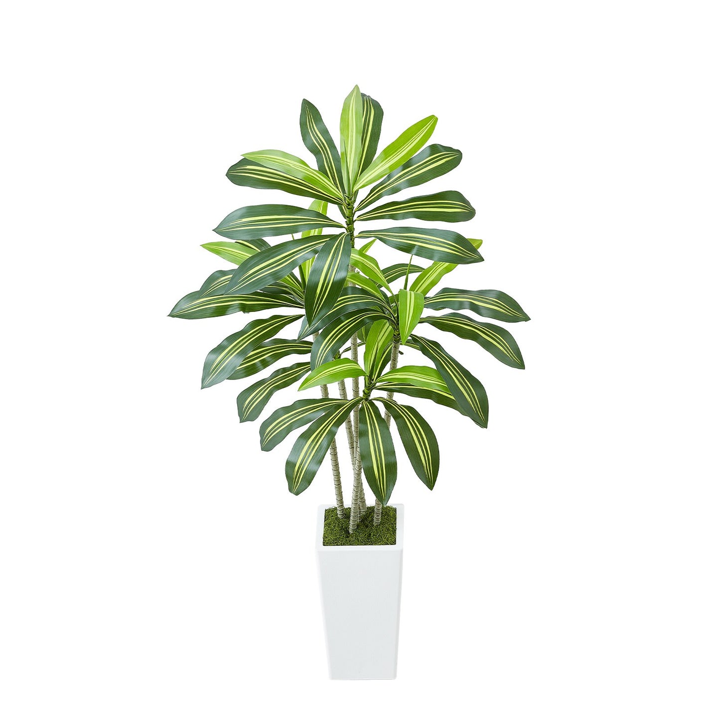 Artificial Dracaena Tree 1524 mm, Fake Palm Tropical Plants with White Tall Planter, Faux Floor Silk Plant in Pot, Large Trees for Home Office Living Room Decor House Warming, Indoor Outdoor
