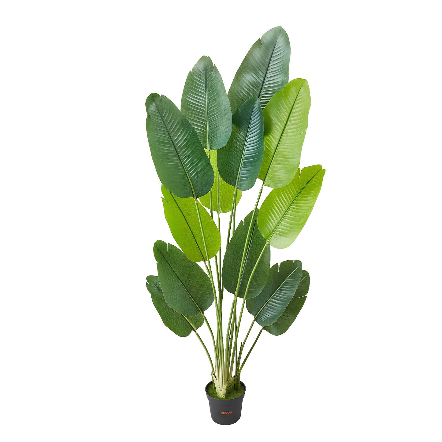 Artificial Bird of Paradise 1829 mm Tall, Fake Tropical Plants with with 13 Trunks & White Pot, Faux Floor Silk Tree, Large Trees for Home Office Living Room Decor House Warming, Indoor Outdoor