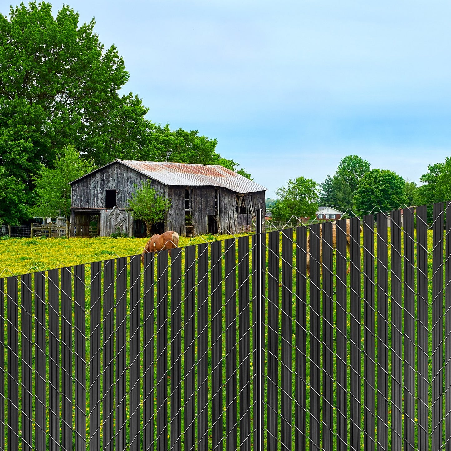 Bottom Locking Privacy Slats, Double-Wall Vertical Bottom-Locking Slats with Wings for Chain-Link Fence, High-Density HDPE Chain Link Slats Ideally Fit 1.8 m High Fence for Garden Farm(Black)