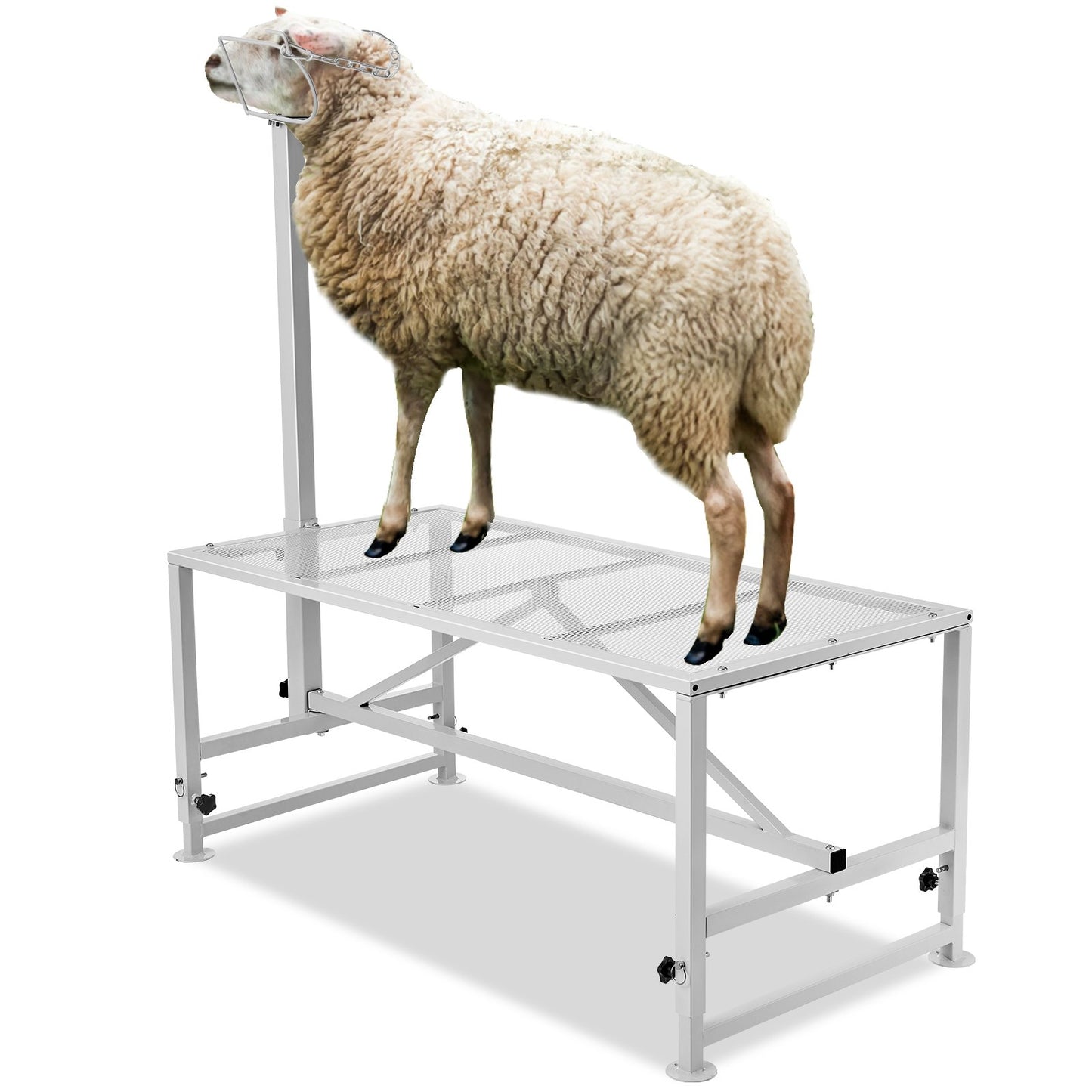 VEVOR Goat & Sheep Stand, 51x23 inch Livestock Stand, Metal Livestock Milking and