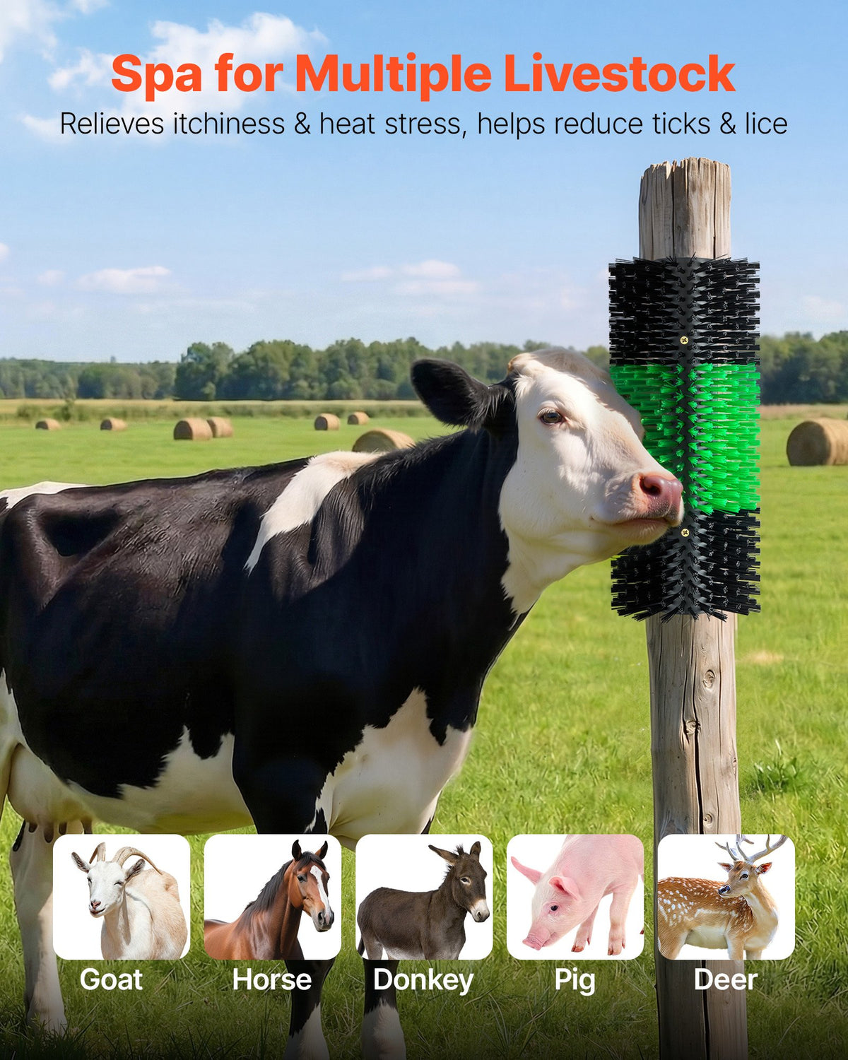 Livestock Scratching Brush, 1PC Goat Scratcher Brush Post with 4 Screws, 430 x 190 mm Cow Scratcher for Back Itch Relief, Massage Grooming Scratch Tool for Horse Cattle Sheep Pig, Green & Black