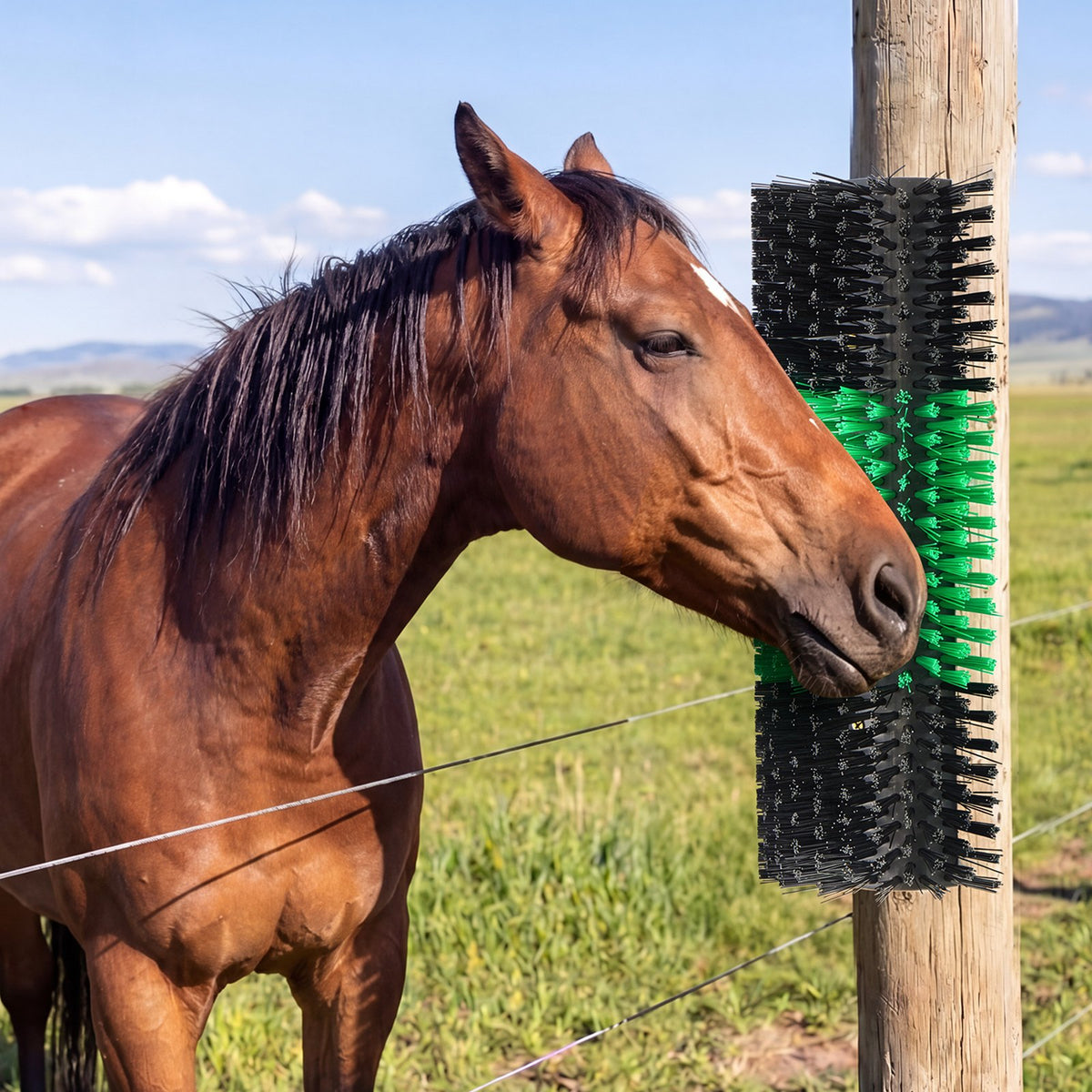 Livestock Scratching Brush, 1PC Goat Scratcher Brush Post with 4 Screws, 430 x 190 mm Cow Scratcher for Back Itch Relief, Massage Grooming Scratch Tool for Horse Cattle Sheep Pig, Green & Black