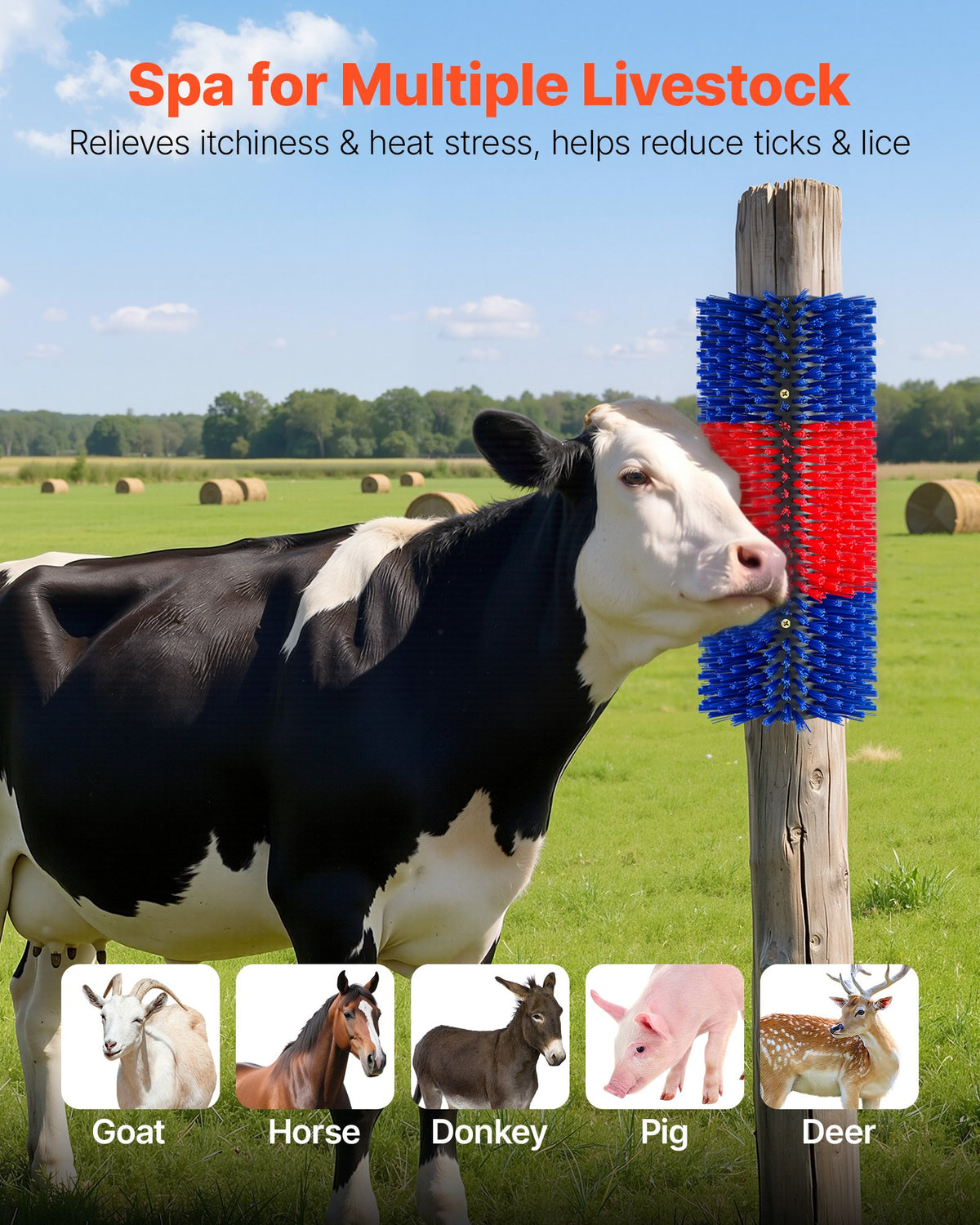 Livestock Scratching Brush, 2PCS Goat Scratcher Brush Post with 8 Screws, 430 x 190 mm Cow Scratcher for Back Itch Relief, Massage Grooming Scratch Tool for Horse Cattle Sheep Pig, Blue & Red