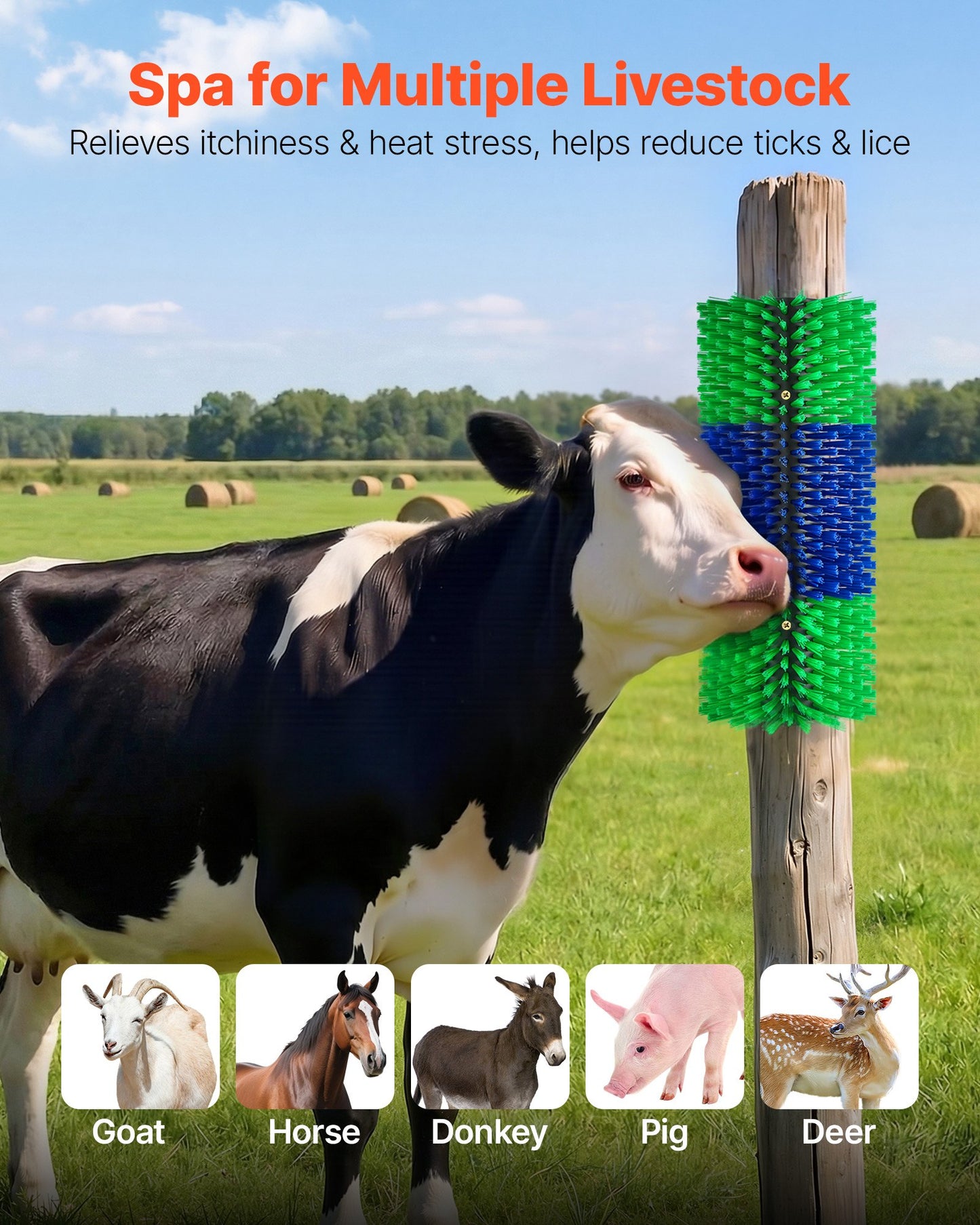 Livestock Scratching Brush, 1PC Goat Scratcher Brush Post with 4 Screws, 430 x 190 mm Cow Scratcher for Back Itch Relief, Massage Grooming Scratch Tool for Horse Cattle Sheep Pig, Green & Blue