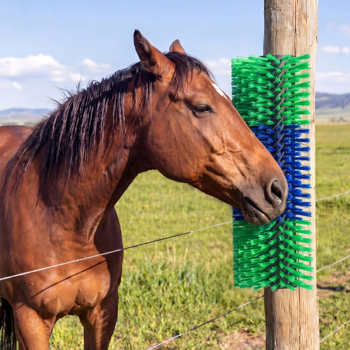 Livestock Scratching Brush, 2PCS Goat Scratcher Brush Post with 8 Screws, 430 x 190 mm Cow Scratcher for Back Itch Relief, Massage Grooming Scratch Tool for Horse Cattle Sheep Pig, Green & Blue