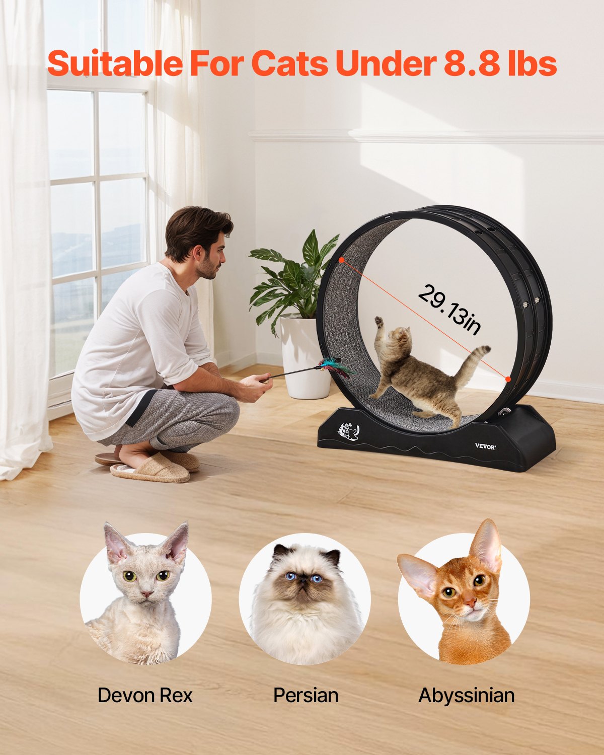 VEVOR Cat Exercise Wheel 31.5 in Large Indoor Cat Running Wheel Treadmill Black