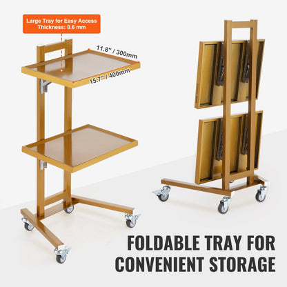 Golden 2-Tier Stainless Steel Lab Cart with Trays & Silent Wheels, 25 kg Capacity