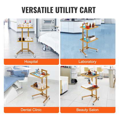 Golden 2-Tier Stainless Steel Lab Cart with Trays & Silent Wheels, 25 kg Capacity
