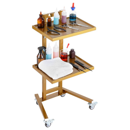 Golden 2-Tier Stainless Steel Lab Cart with Trays & Silent Wheels, 25 kg Capacity