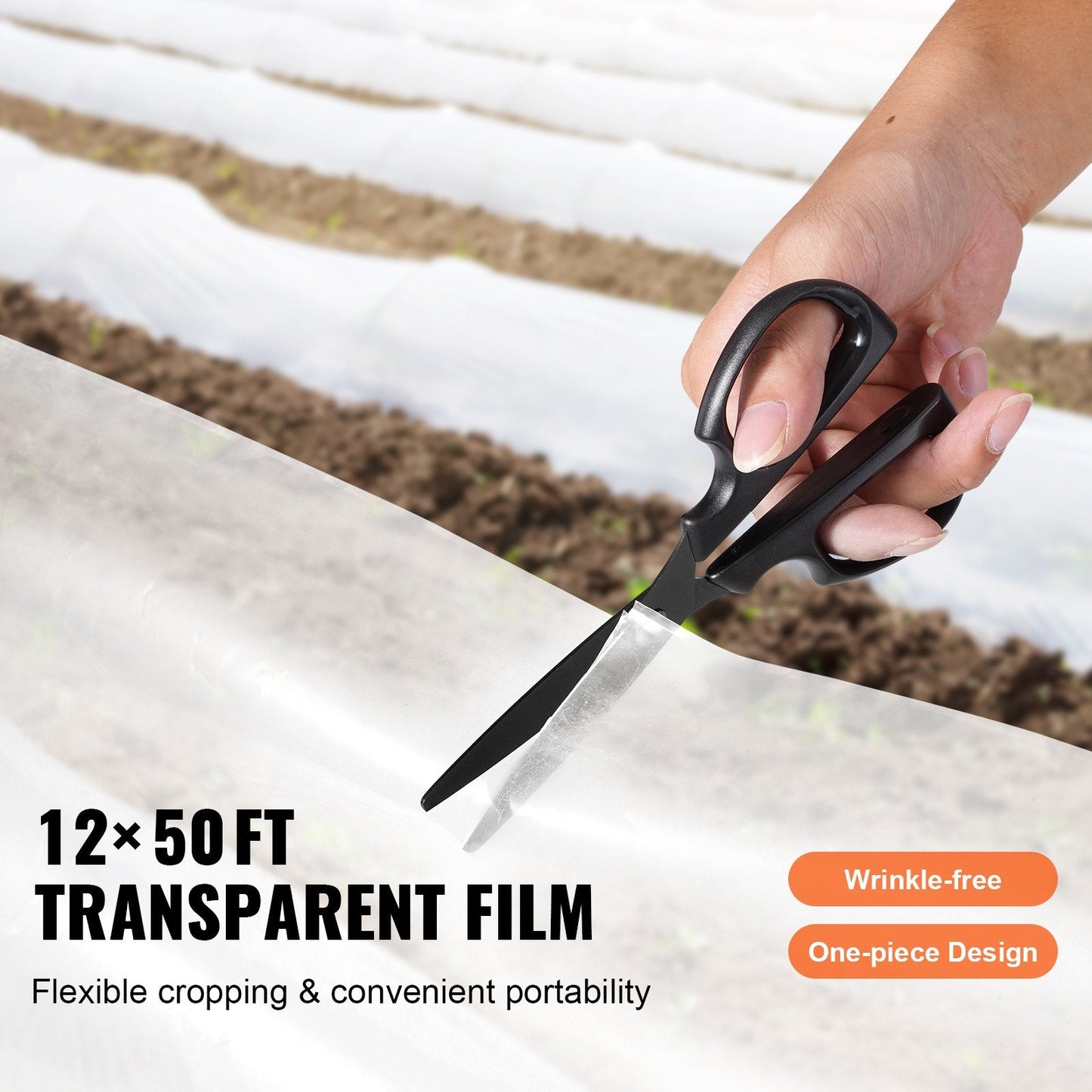 Clear Polyethylene Greenhouse Film 3.7 x 15.2 m, 6 Mil Thickness, UV Protected
