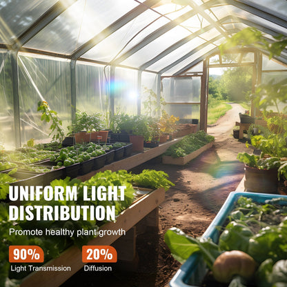 Clear 7.6 x 7.6 m Greenhouse Film, 6 Mil Thickness, UV Resistant Polyethylene