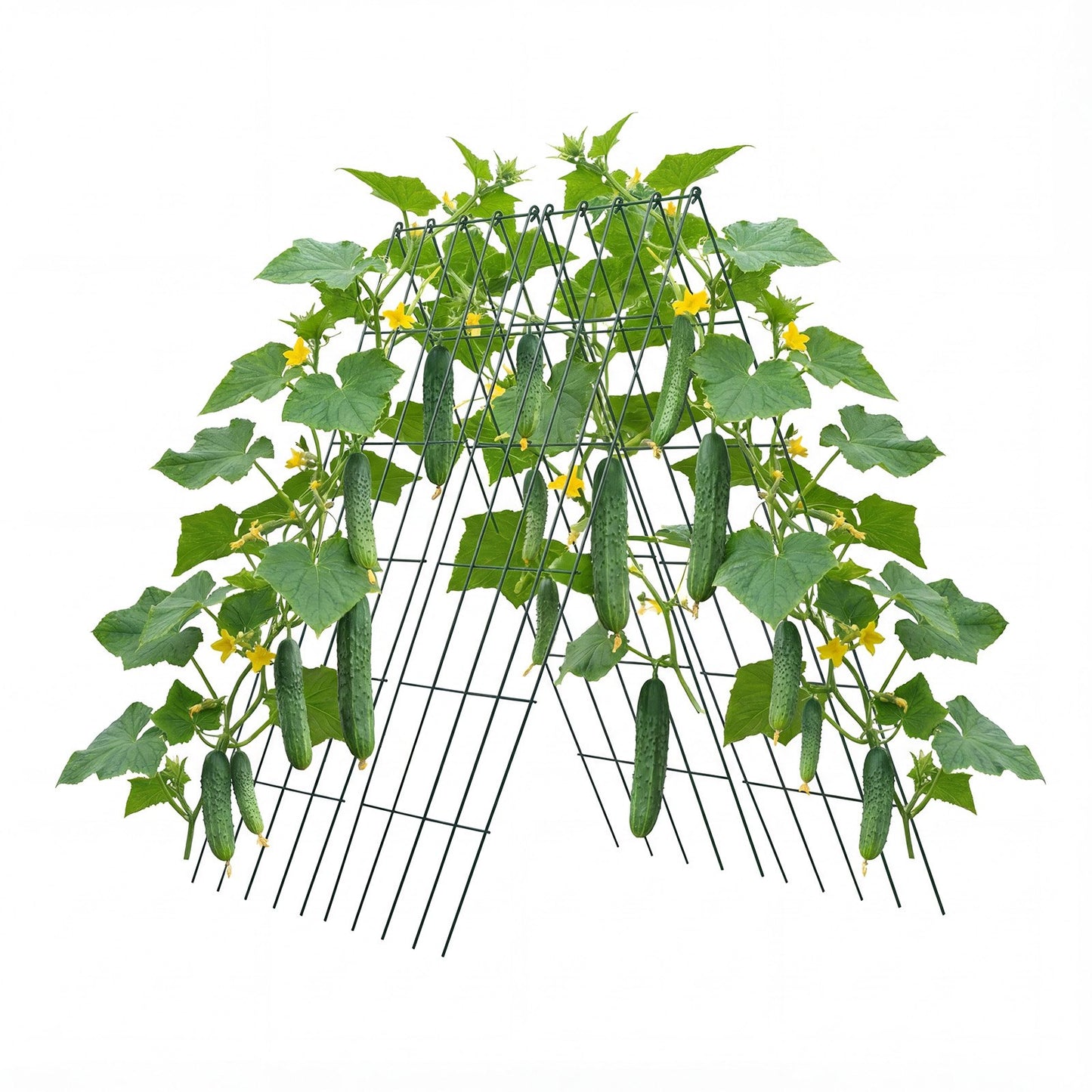 Cucumber Trellis 4 Pack, A-Frame Garden Trellises for Raised Bed, Metal Rustproof Coating Plant Support for Vine, Climbing Plants, Peas, Beans, Zucchini, Tomato, Flower (990 x 400 mm x 4PCS)