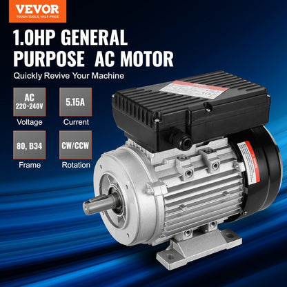 0.75KW AC Motor 2900 RPM, 220-240V, B34 Frame, Dual Rotation for Equipment