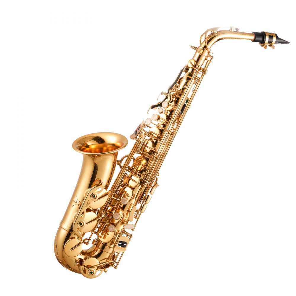 Alto Saxophone, E Flat, Brass Saxophone Beginner Kit with Carrying Case, Mouthpiece, Straps, Cleaning Cloth Rod, Gloves, Grease, Neck Strap, 23 Keys Alto Sax Kit, for Beginners Students, Gold