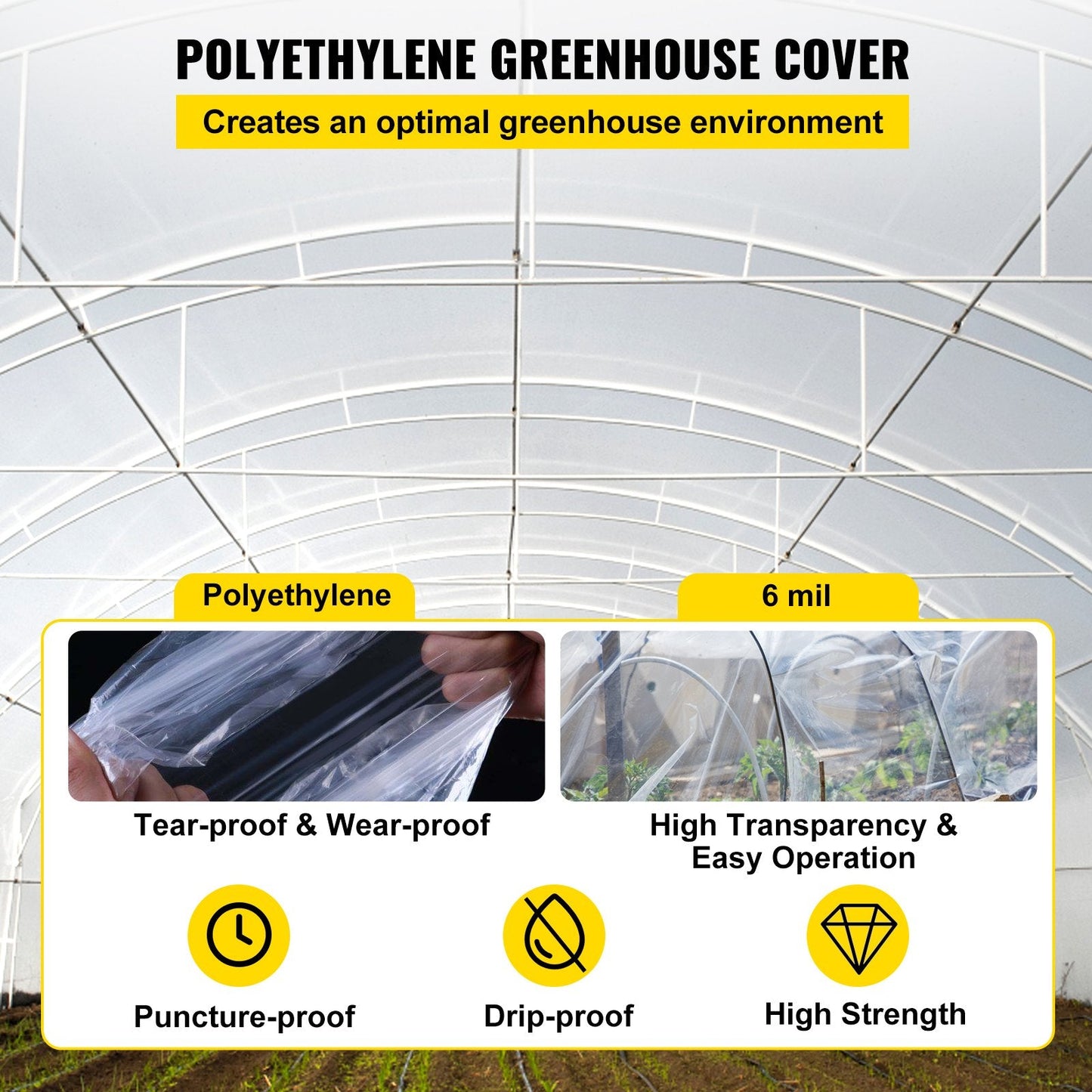 Clear UV-Proof Polyethylene Greenhouse Film, 3.05 x 30.5m, 6 mil Thickness