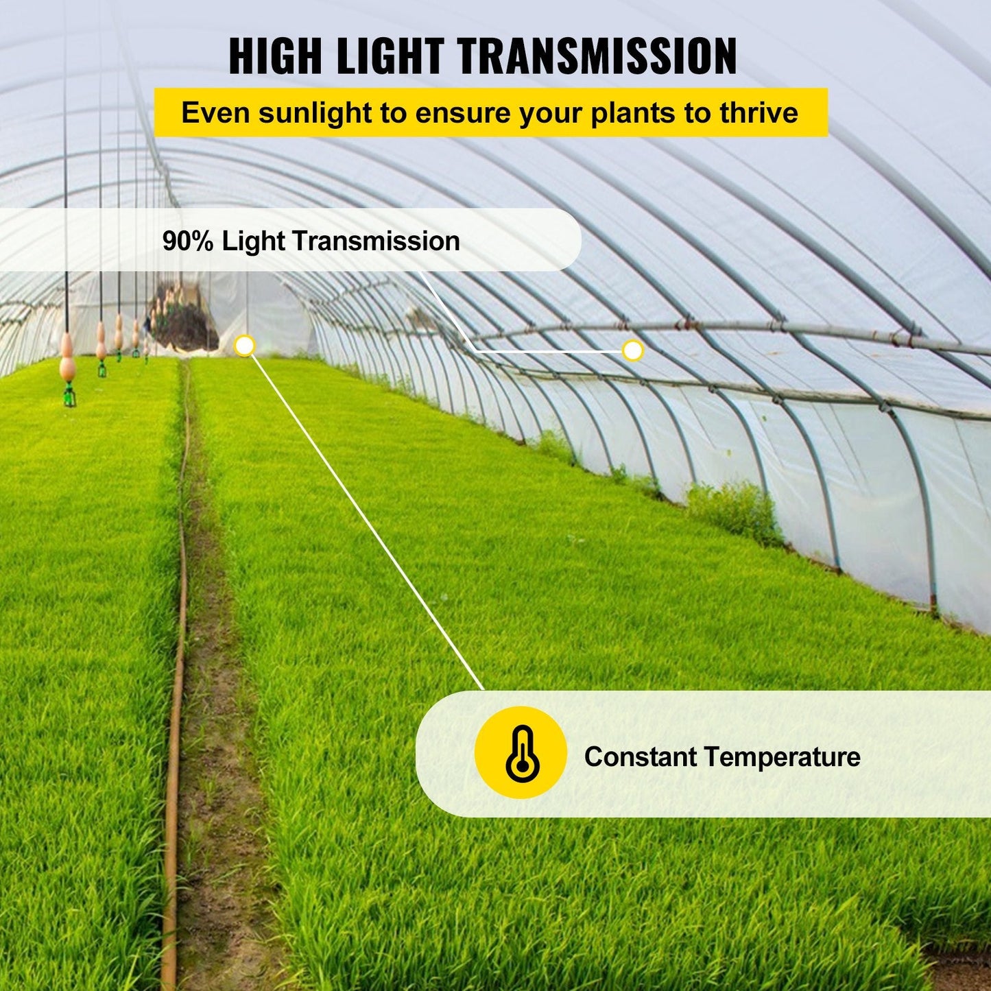 Clear UV-Proof Polyethylene Greenhouse Film, 3.05 x 30.5m, 6 mil Thickness