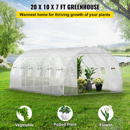 VEVOR Walk-in Tunnel Greenhouse Galvanized Frame Waterproof Cover 20x10x7 ft
